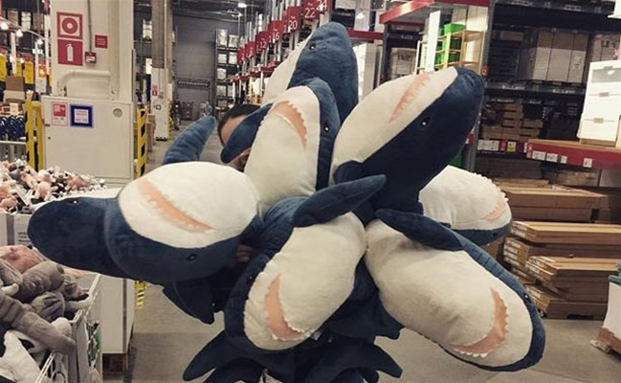 Служба доставки «Вам до дома» проводит для туляков розыгрыш дефицитных игрушечных акул «Блохэй» 