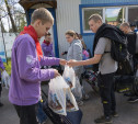 В тульский лагерь прибыли 50 школьников из Курской области