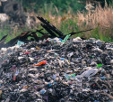 Эксперты подсчитали, сколько мусора ежегодно выбрасывают туляки