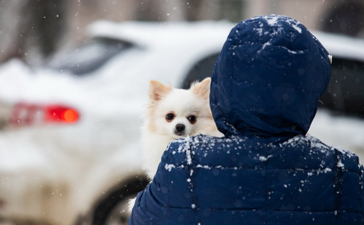 Синоптики предупредили о снегопаде и ледяных дождях