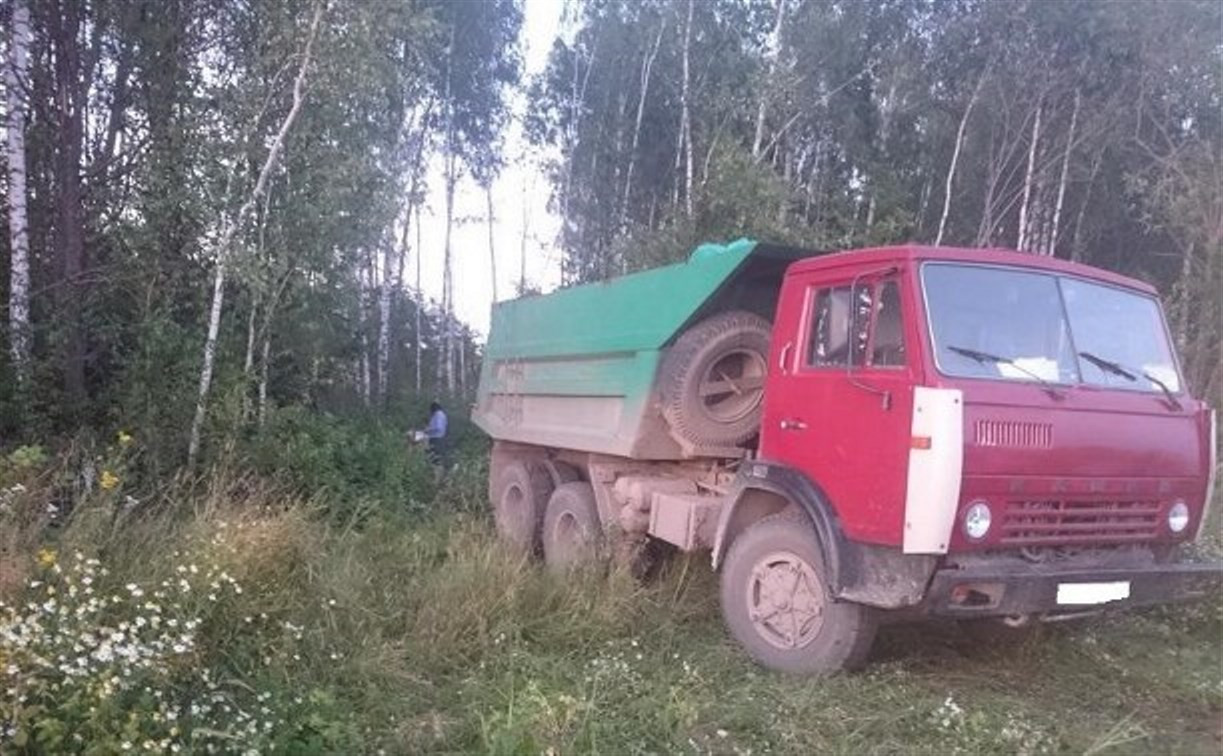 В Алексинском районе КамАЗ задавил лежащего в кустах мужчину