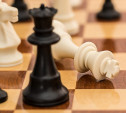 В Туле блондинки сразятся в шахматы с брюнетками