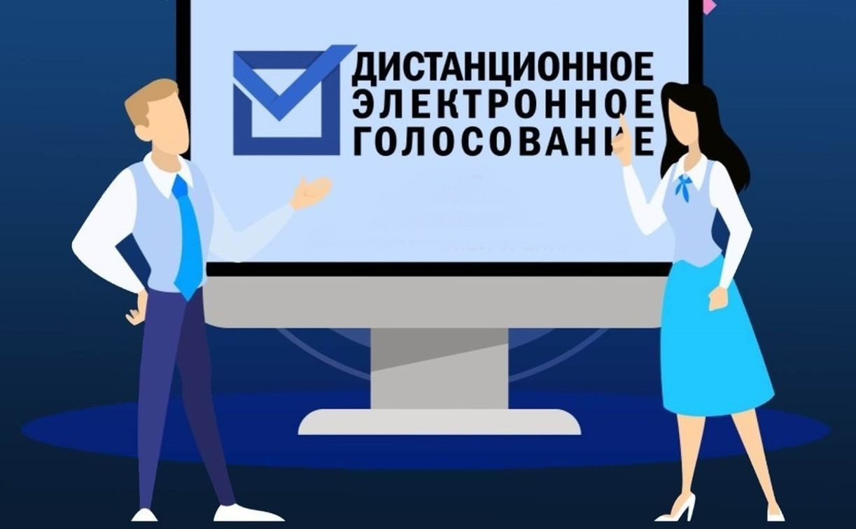Более 2 тыс. жителей Тульской области приняли участие в дистанционном электронном голосовании за первые 6 часов его проведения