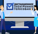 Более 2 тыс. жителей Тульской области приняли участие в дистанционном электронном голосовании за первые 6 часов его проведения