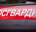 В Новомосковске поймали серийного магазинного вора