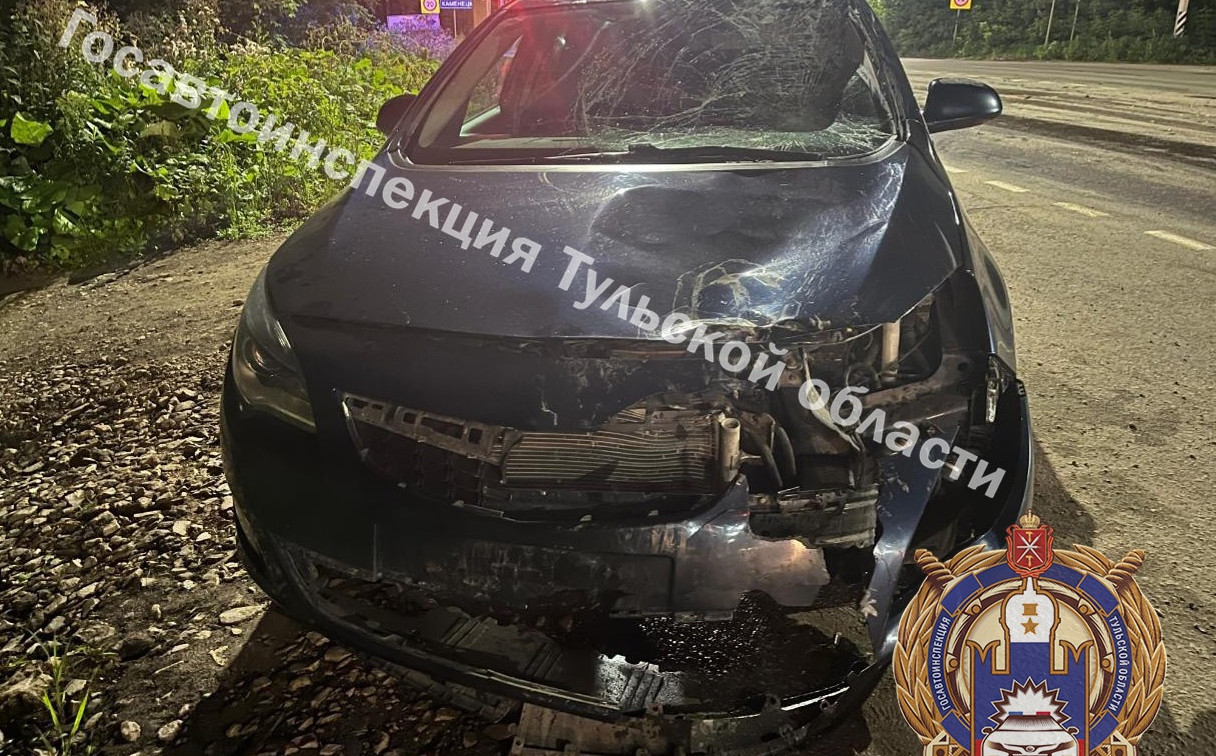 В Узловском районе Opel сбил сразу трех подростков на питбайках 