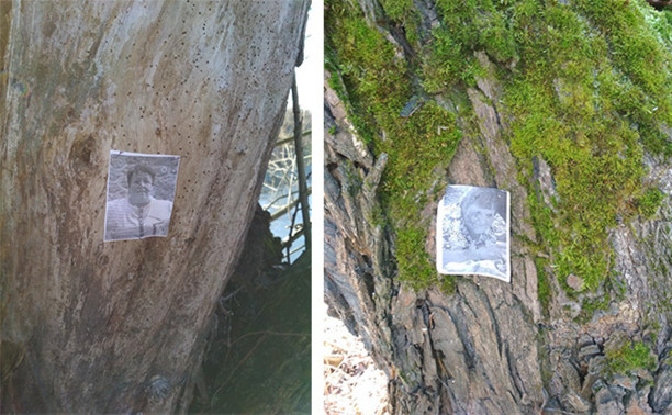 Туляк нашел в лесу под Шатском фото женщин, истыканные иголками