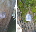 Туляк нашел в лесу под Шатском фото женщин, истыканные иголками
