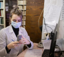 Киреевской поликлинике в период пандемии помогают волонтеры