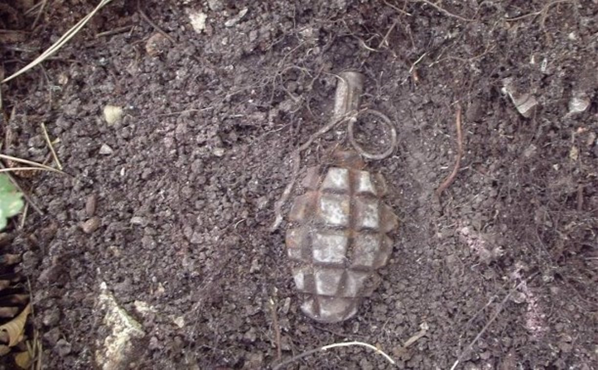 В жилом дворе в центре Тулы найдена граната