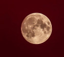 Самое большое полнолуние года: 31 августа над Землей взойдет Голубая Луна 