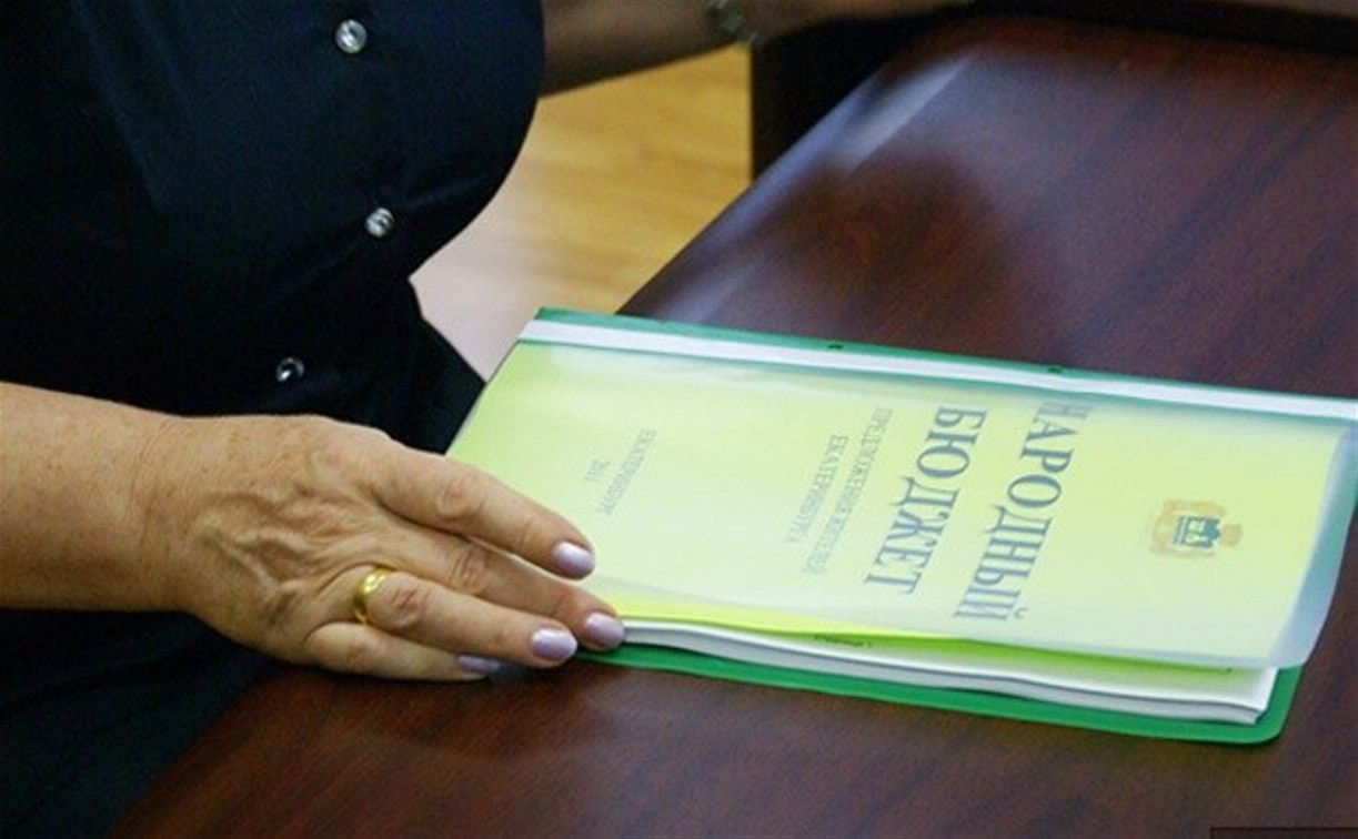 Туляки подали более 1000 заявок на участие в программе «Народный бюджет – 2015»