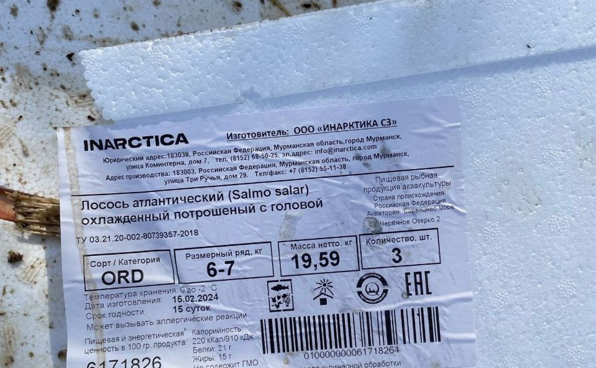 Свалку пенопластовых ящиков из-под лосося в Сигитово убрали