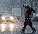Погода в Туле 18 января: мороз, метель и порывистый ветер