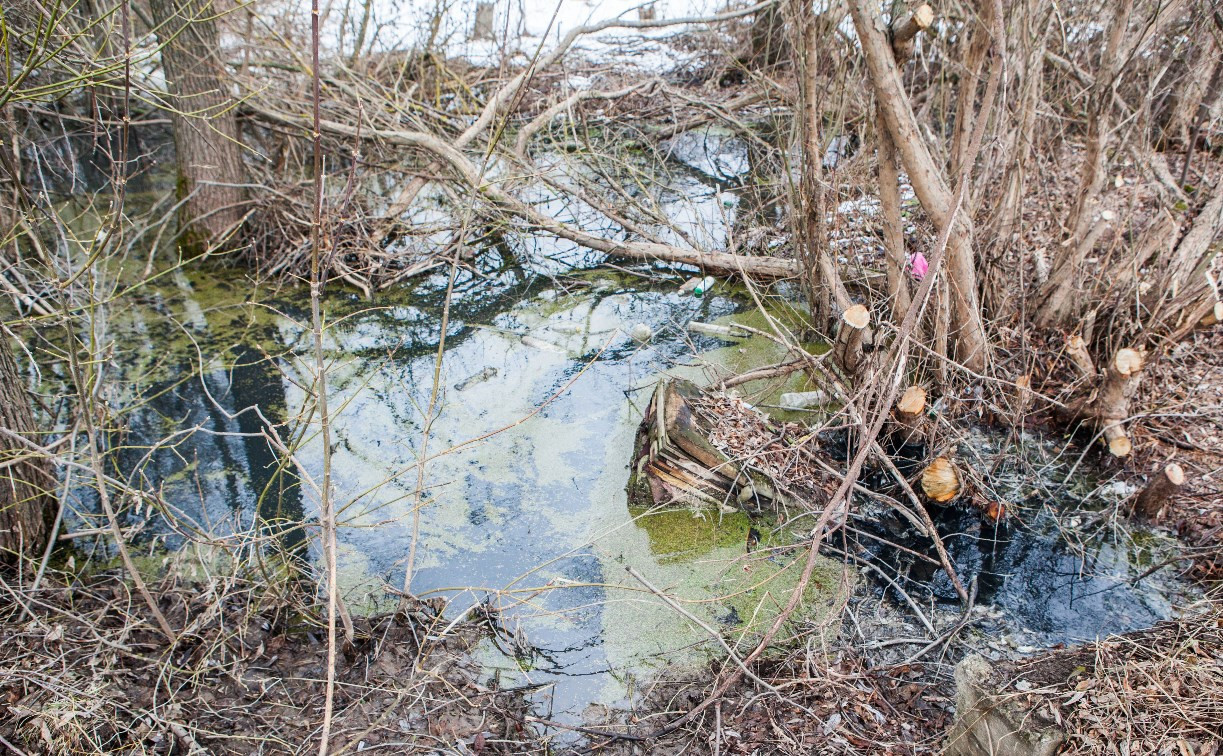 Проблема с канализацией в ЖК «Скуратовский» в Туле будет решена к 1 ноября