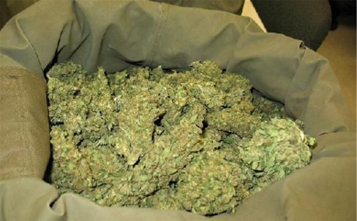 У туляка нашли 184 грамма марихуаны 