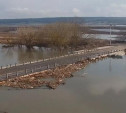 Вода ушла с четырех мостов в Тульской области 