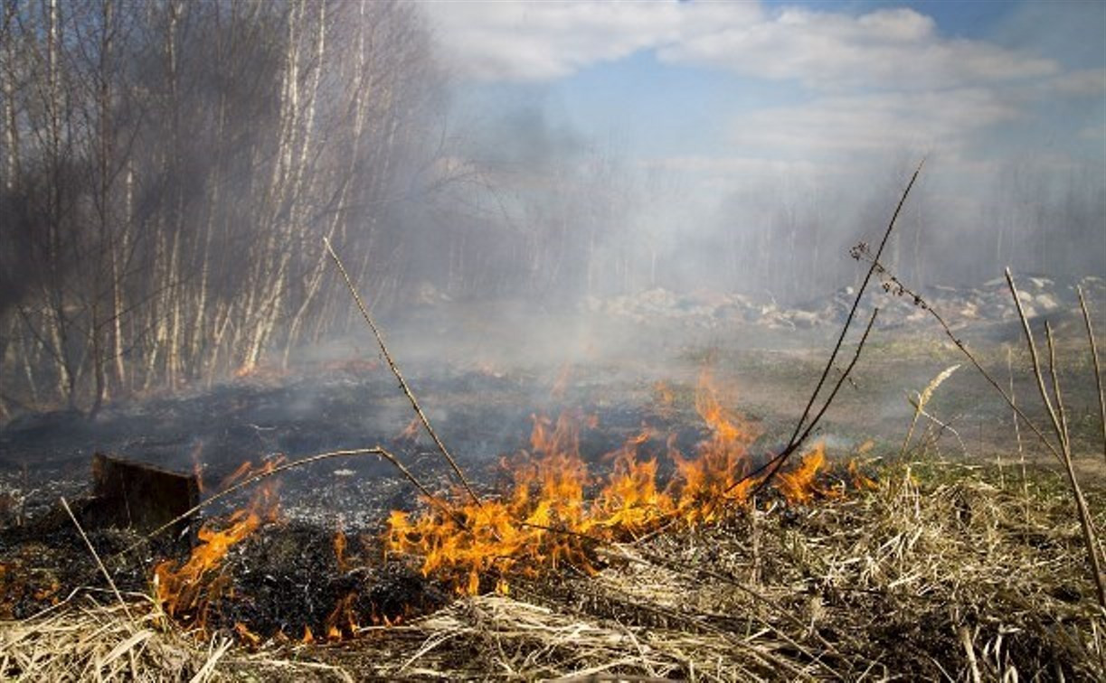 В Тульской области сохраняется пожароопасная обстановка