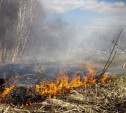 В Тульской области сохраняется пожароопасная обстановка