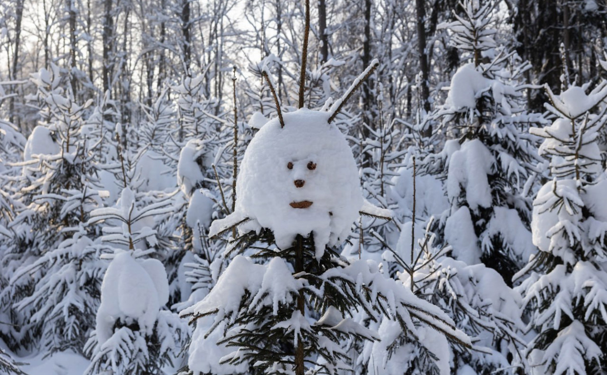 Синоптики спрогнозировали теплый финал февраля
