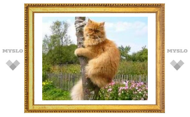 Проголосуй за лучшую фотографию!