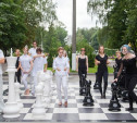 В Центральном парке новый арт-объект: Кто сыграет в «Большие шахматы»?