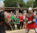 Мотоциклы, рыцари, цирк и средневековый тир: В Туле прошел народный фестиваль