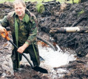 Останки тульского летчика нашли в обломках самолета в Ленинградской области