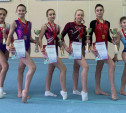 В Новомосковске прошли межрегиональные соревнования по спортивной гимнастике