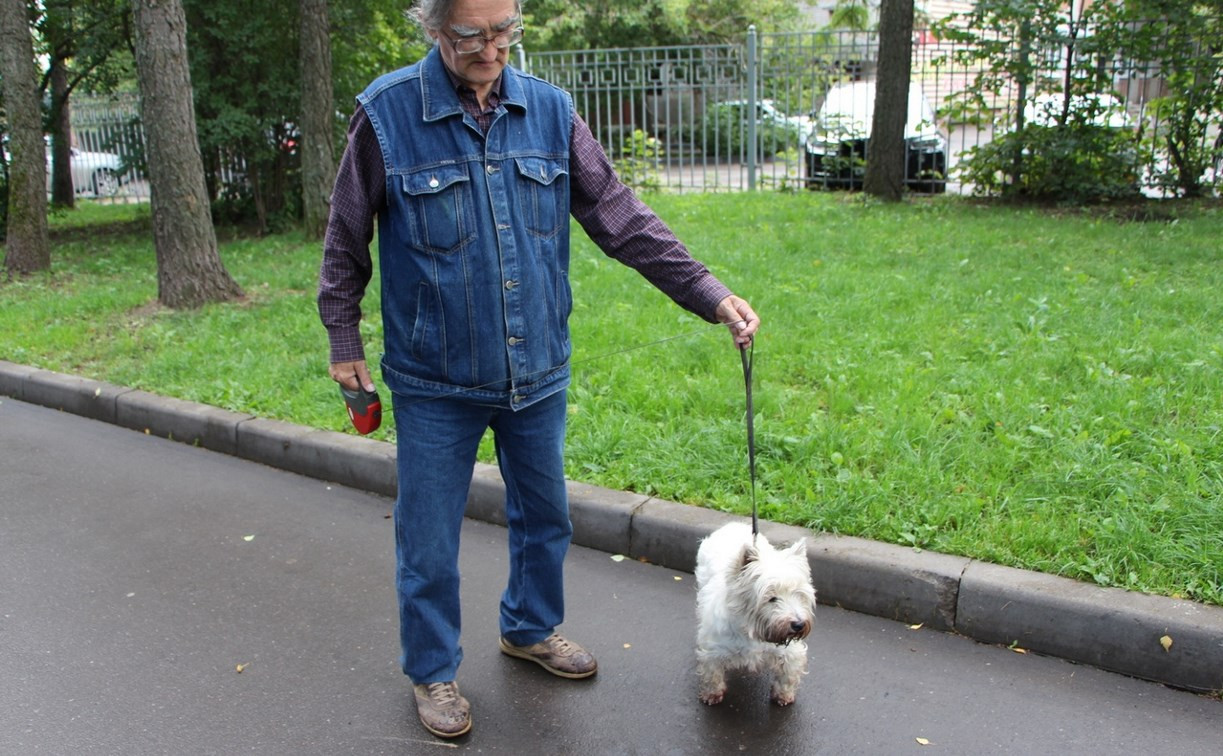 В тульских парках ловят нарушителей правил выгула собак