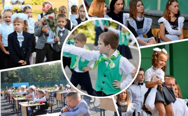 К школе тула. К школе тула
