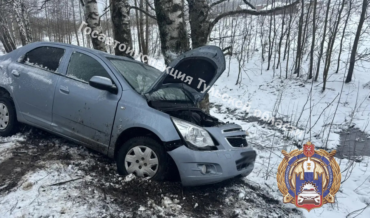 В Щекинском районе автоледи на Chevrolet влетела в дерево во время обгона