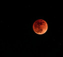 Утром в понедельник жители Тульской области смогут наблюдать «кровавую» Луну