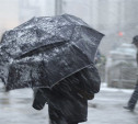 Погода в Туле 3 февраля: дождь со снегом и плюсовая температура