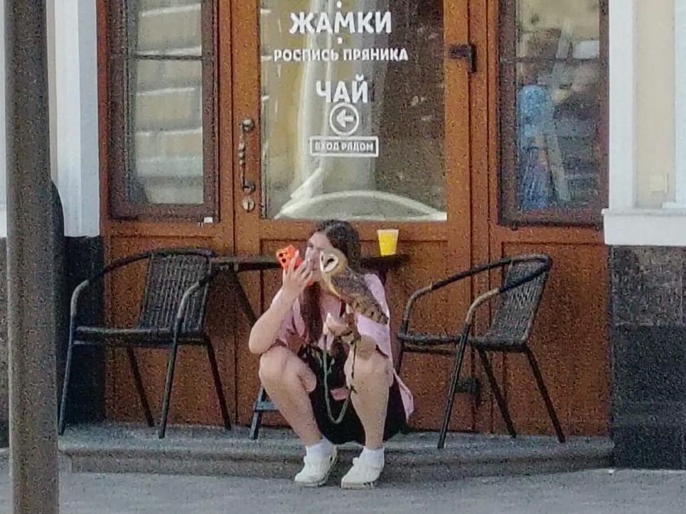 «Нервы не выдерживают смотреть»: туляки сообщают о фотоживодёрах с измученными совами