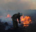 За два дня в МЧС зафиксировано более 160 поджогов травы и мусора