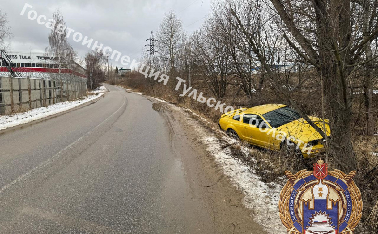 В тульском поселке Обидимо Ford Mustang улетел в кювет 