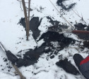 Слив химических отходов в Новомосковске попал на видео