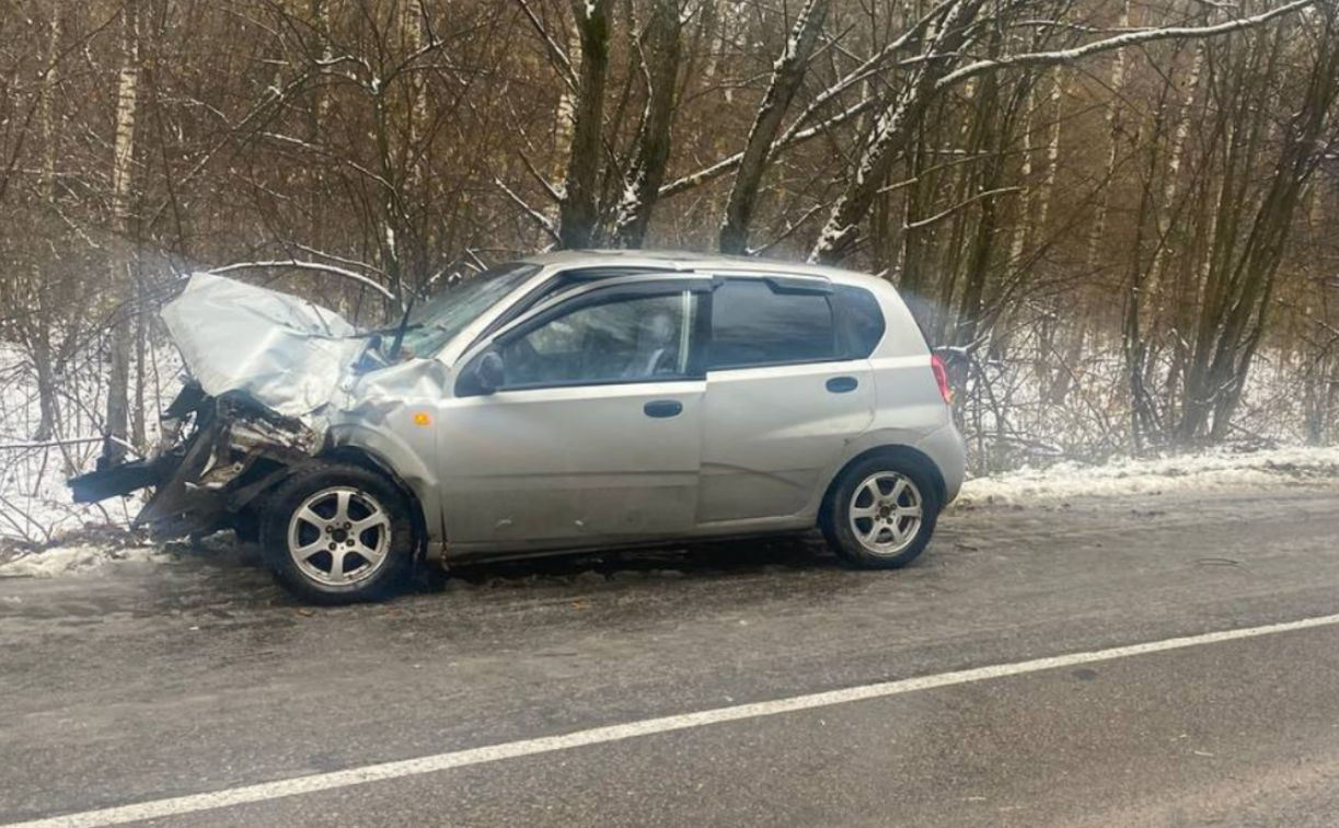 Под Тулой из-за перебегавшей дорогу косули Chevrolet врезался в дерево