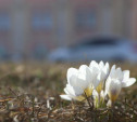 Погода 4 апреля: в Туле солнечно, но местами возможен снег