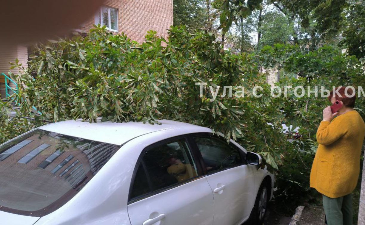 Упавшее на машины дерево и разбитая гирлянда: туляки делятся фотографиями последствий сильного ветра