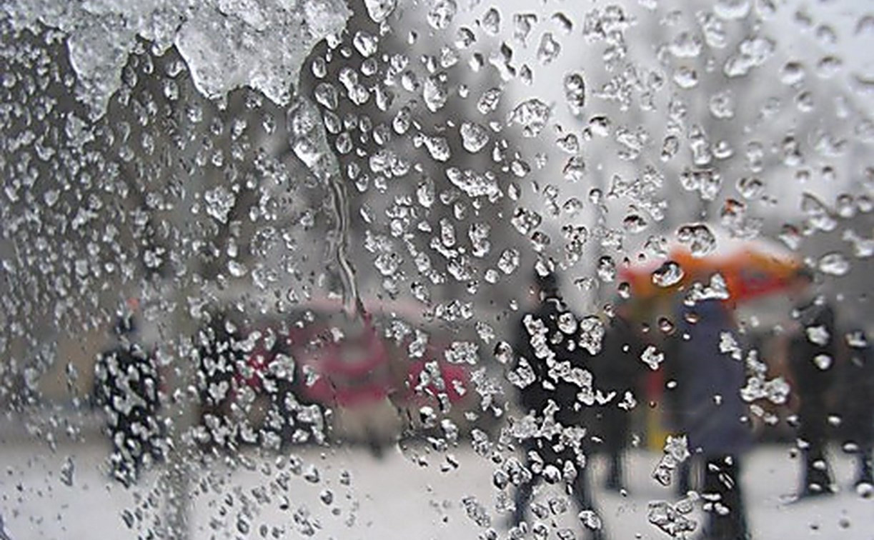 Погода в Туле 22 января: до +5 градусов, мокро и ветрено