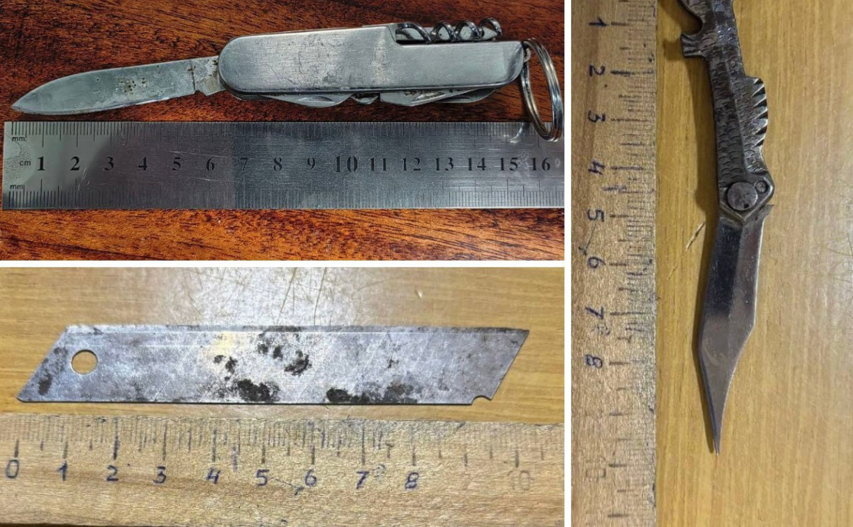 В Тульской области двое мужчин пытались пронести ножи в суды 