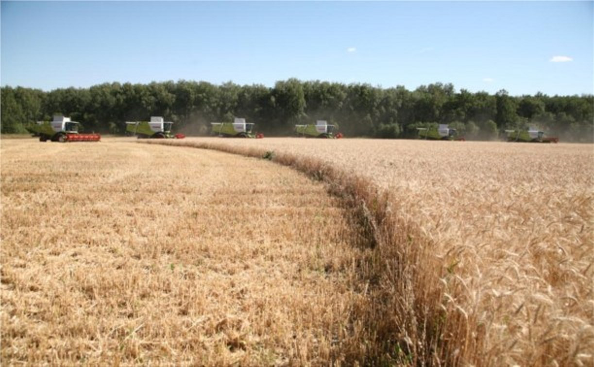 Тульская область будет поставлять сельхозпродукцию в Москву