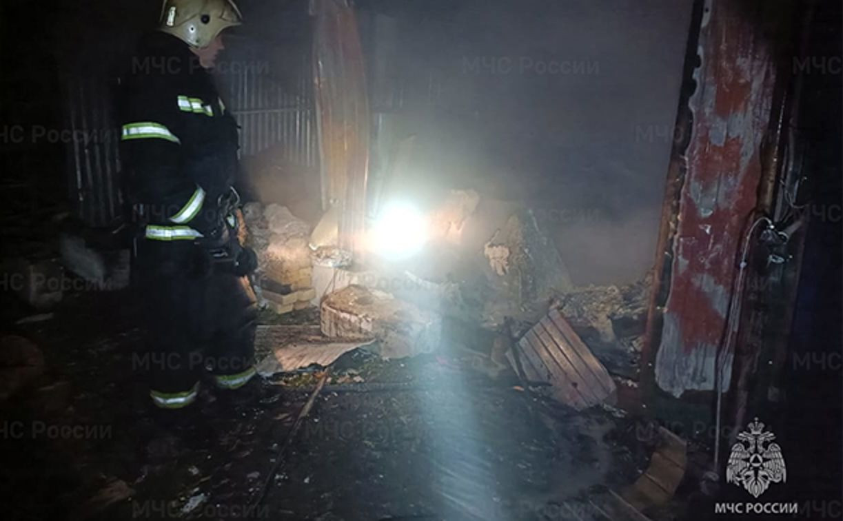 Ночью в Туле на ул. Пирогова сгорел павильон, в огне погиб мужчина 