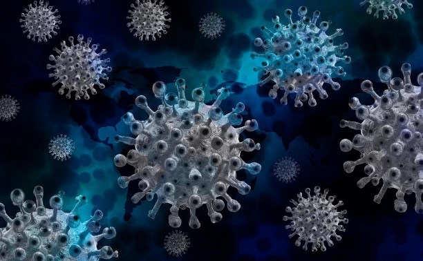 Роспотребнадзор рассказал, чем можно уничтожить коронавирус с поверхностей 