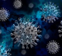 Роспотребнадзор рассказал, чем можно уничтожить коронавирус с поверхностей 