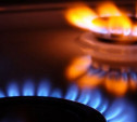 В правительстве Тульской области обсудили вопросы газификации