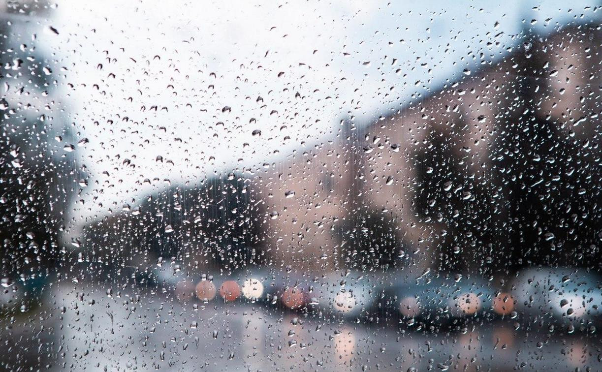 Погода в Туле 23 октября: дождь и порывистый ветер
