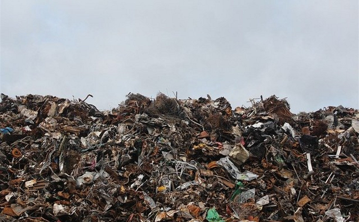 Власти Москвы определили регионы для вывоза столичного мусора
